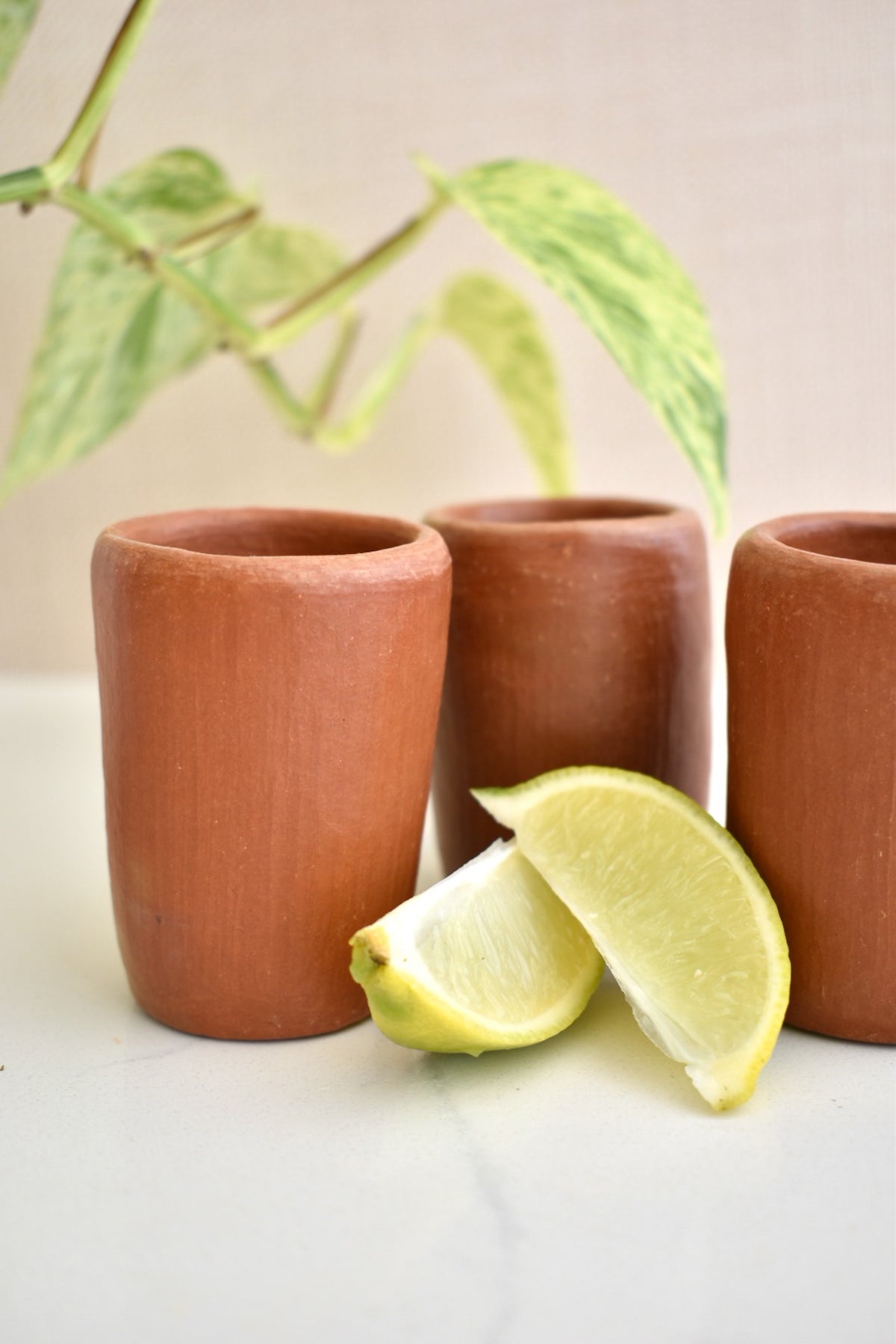 BARRO SHOT GLASS Casa Evita